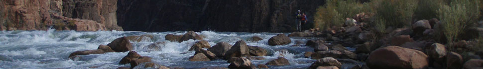 Kristy's Blog header image 1