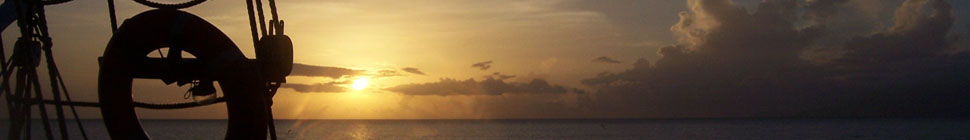 Kristy's Blog header image 2