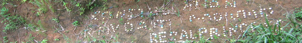 Kristy's Blog header image 3