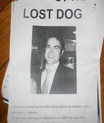 Lost Dog