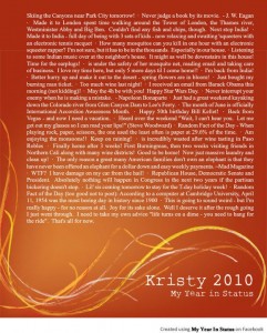 My Year in Facebook Statuses